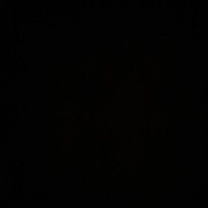 Meet your Posher, Nathanie